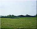 2008 : Barns at Rode Farm