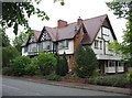 Large homes in Manor Road