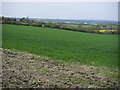 Fields around Easington