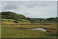 Hawkesdown Hill and Axmouth