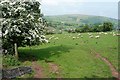 Towards Moelfre