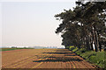 Farmland at Alderton