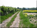 Looking SE along footpath from Swanton Lane