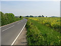 View along Swanton Lane