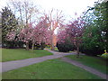 Town Hall Gardens, Chatham