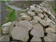 C9444 : Giant's Causeway [7] by Mr Don't Waste Money Buying Geograph Images On eBay