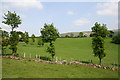 Pasture land below Newhouse