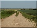 A farm track that leads down to Old Hall Creek