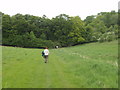 SU7290 : Oxfordshire Way crosses pasture near Pishill by David Hawgood