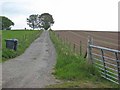 The road to Hillbrae Croft