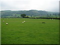 View from the Entrance to Maesmawr Hall