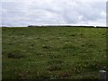 Grassy field at Nistaben 