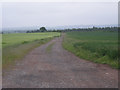 Farm track as a field boundary