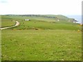 Hillside above Pennan