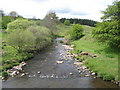 The River East Allen near Tedham Green (2)