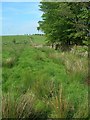 Farmland View