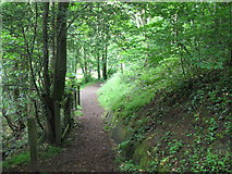 NY9364 : Footpath through the wood above Cockshaw Burn by Mike Quinn