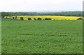 Countryside north of Ashby de la Zouch