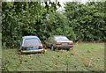 Cars and chickens, Birch Grove, Chilbolton