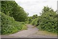 Footpath off Martins Lane, Chilbolton