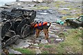 Dog and Creels on the Pier at Craighouse