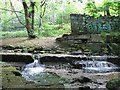 Weir by Brookfoot Mill, Horsforth