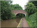 SO9869 : Worcester & Birmingham Canal - Bridge 55 by John M