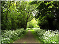 Bridleway in Hedon