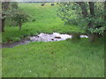 Footpath Crossing Stream, near Great Corby