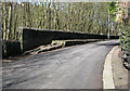 Old Lane - Raised pavement near to Mill Lane