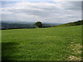 View from Pant-y-bwch