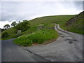 The track leading to Adderston Shiels