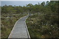 Cors y Llyn Nature Reserve