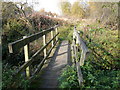 North Wingfield Nature Reserve