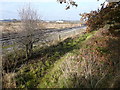 North Wingfield Nature Reserve