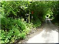 The foot path to Boode on the left of Buttercombe Lane