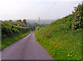 Lane approaching Pennant