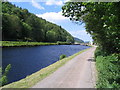 NR8291 : Crinan Canal towpath by E Gammie