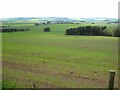 Fields at Little Kirkhill Farm