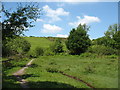 The  Four Valleys Path below Pen Ffriddoedd Terrace