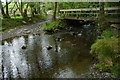 Ford and footbridge, Cwmdulas