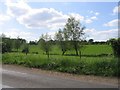 Fields beside Saunders Lane - take 1