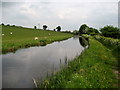 Canal South of Pool Quay