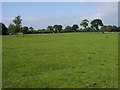 Fields north of Grove Farm