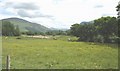 Grazing land and a horse training area at Weirglodd Fawr