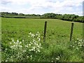 Ballygawley Townland