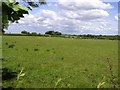 Ballygawley Townland