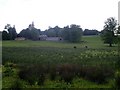 Barnhill from road to Overtoun House