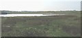 Salt marsh and creek near Creigle