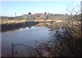 Cleddau River, Haverfordwest